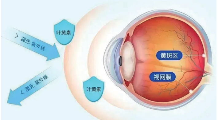 截屏2025-11-12 14.07.42