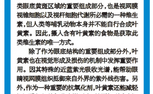 上海大众卫生报：补充叶黄素，可防【眼猝死】？