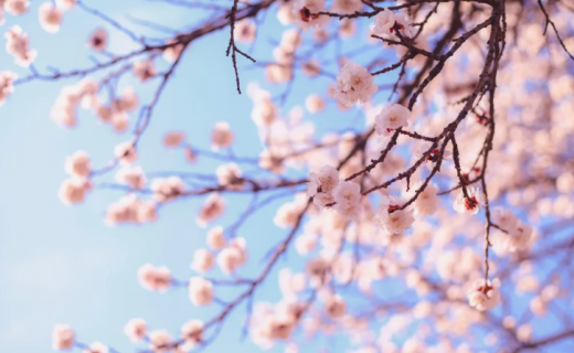 上海静安：春季眼干眼痒，眼药水怎么用？专家：先做对这件事