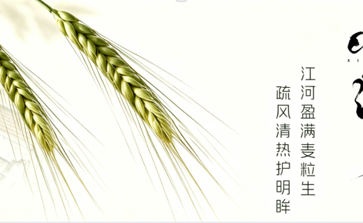 眼防时节 | 江河盈满麦粒生，疏风清热护明眸